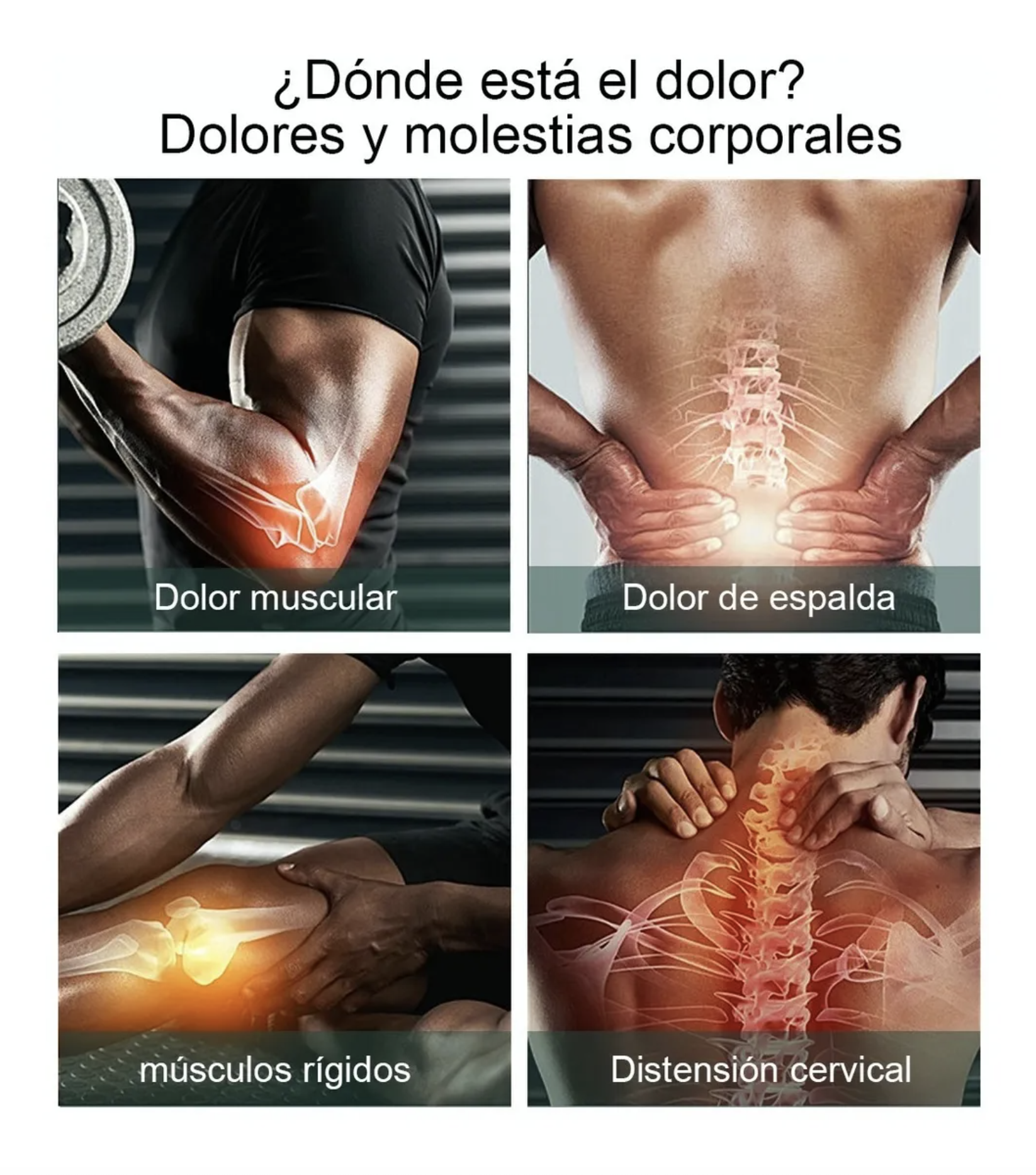 Masajeador Muscular - Imagen 4