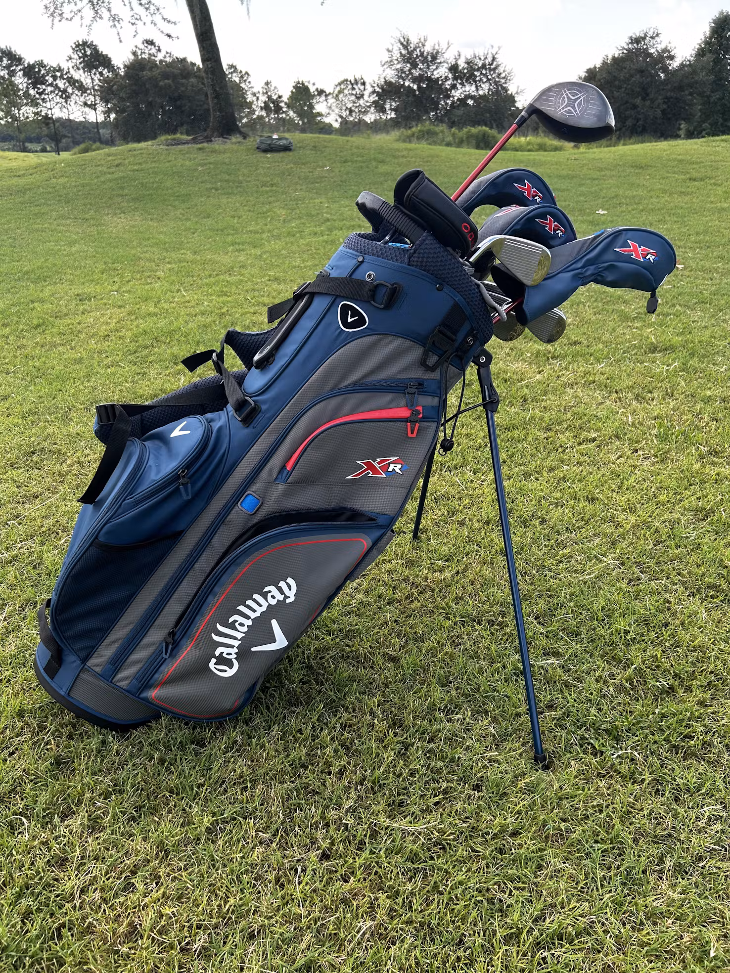 Palos de Golf Premium - Callaway XR - Imagen 13