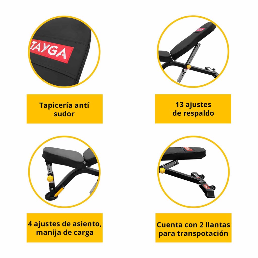Banco Multiposiciones Uso Rudo - Tayga - Imagen 5
